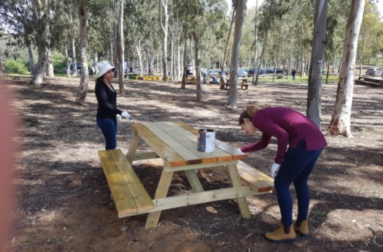 סימנס ישראל (3)